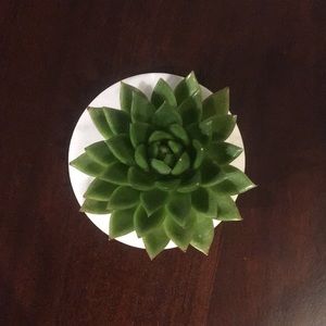 Meet your Posher, Suchita